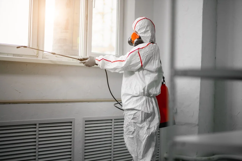 Professional mold remediation services in Bay Minette, AL
